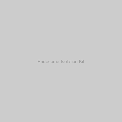 Endosome Isolation Kit